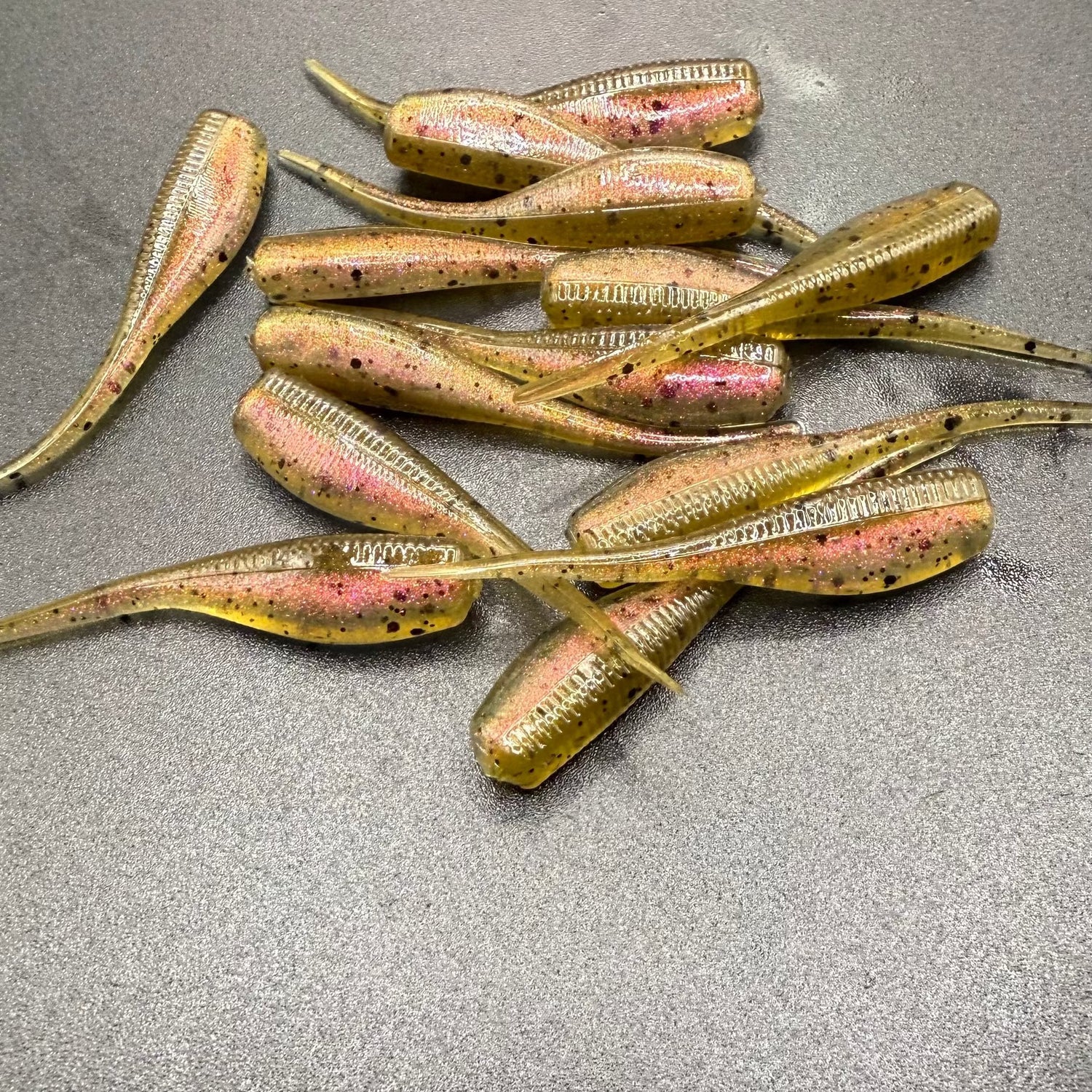 Brush Minnow