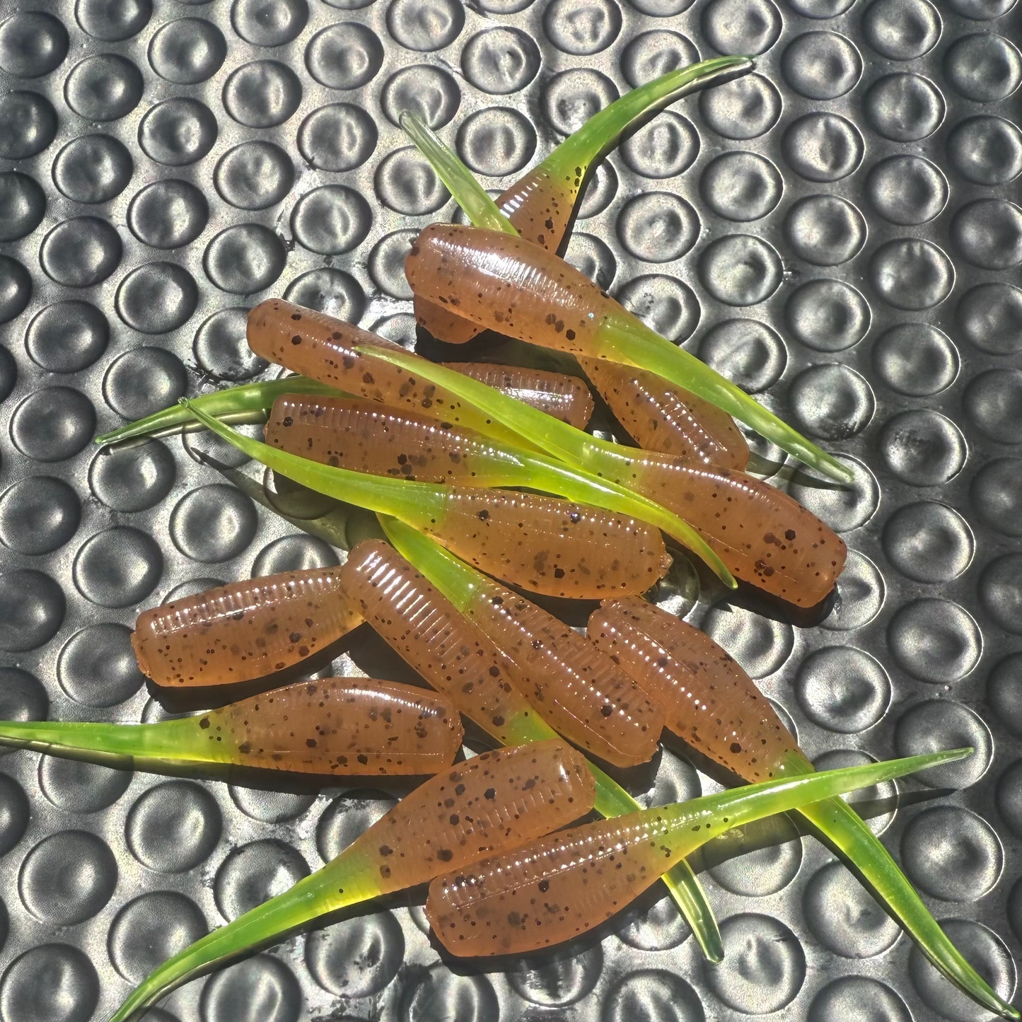 Pumpkin Seed