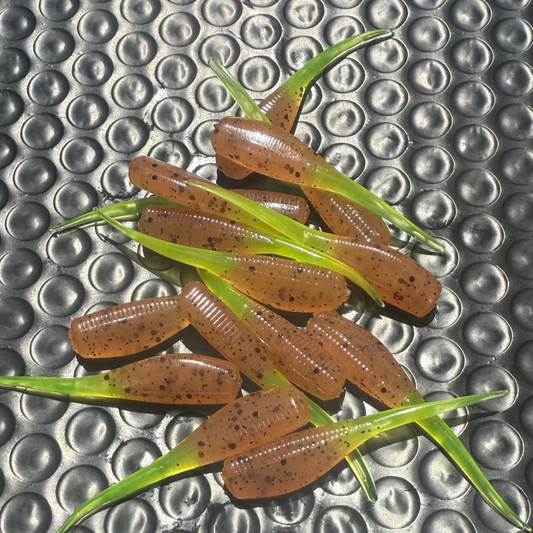 Pumpkin Seed