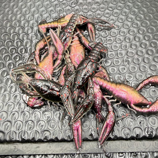 Midnight Magic Craw