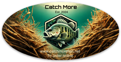 Catch More