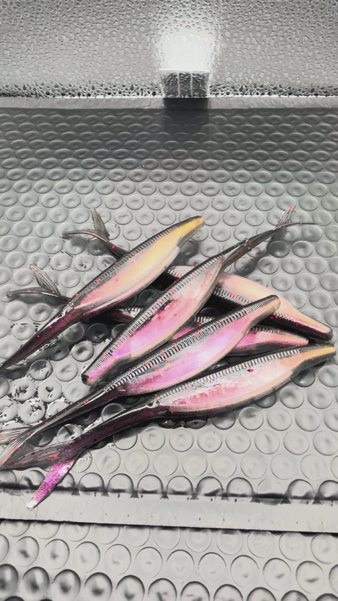 Midnight Magic Jerk Bait 
